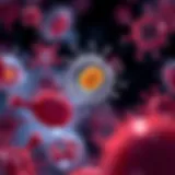 Illustration of cell proliferation mechanisms