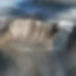 Aerial view of a hydroelectric dam showcasing water flow