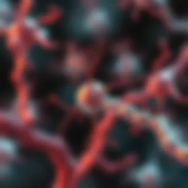 Biological mechanisms of ephedrine action