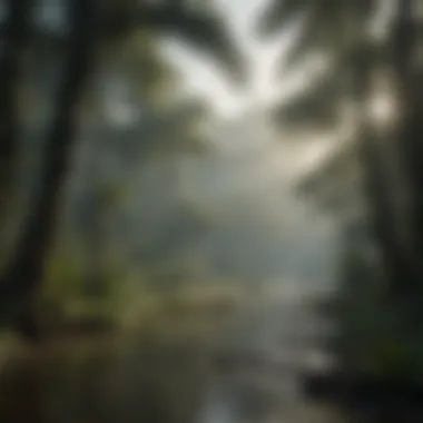 Ethical Considerations in Sourcing Amazonian Biodiversity A serene landscape showcasing the ethical sourcing of Amazonian resources