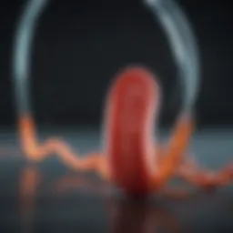 Cardiac rhythm analysis with sotalol