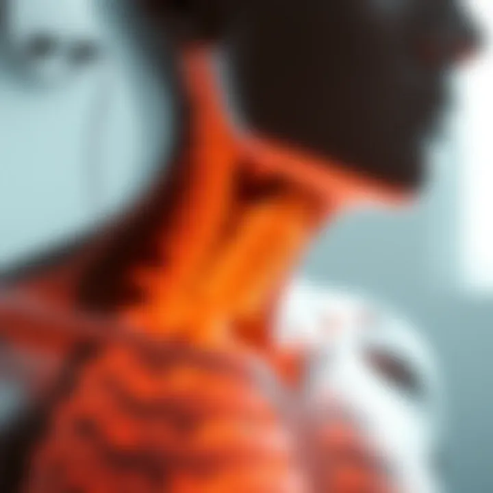 Illustration showing altered sensory responses after thoracic sympathectomy