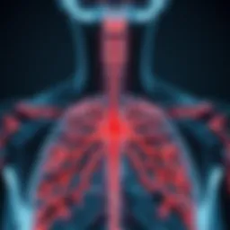 Illustration of sympathetic nerve pathways affected by thoracic sympathectomy