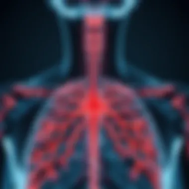 Illustration of sympathetic nerve pathways affected by thoracic sympathectomy