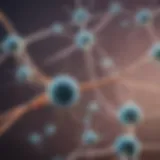 Illustration depicting the structure of acetylcholine receptors.