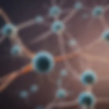 Structure of Acetylcholine Receptors Illustration depicting the structure of acetylcholine receptors.