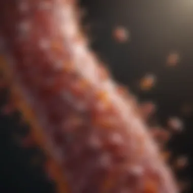 Types of infections common in pancreatitis cases