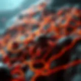 Intricate pathways of border transmission