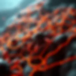 Intricate pathways of border transmission