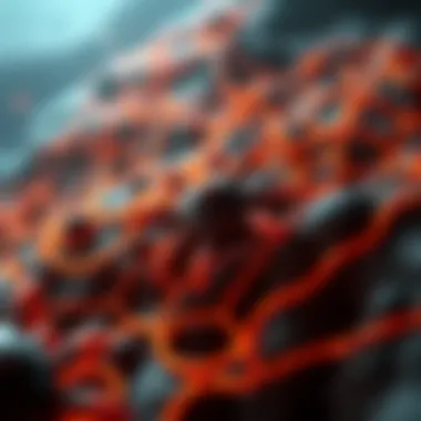 Intricate pathways of border transmission