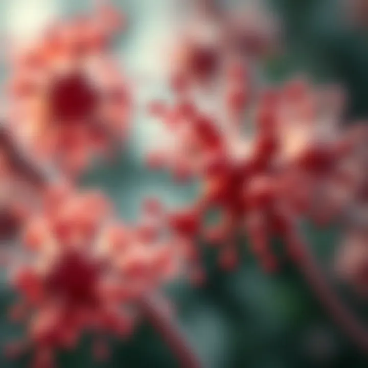 Illustration depicting the molecular pathways involved in cellular senescence