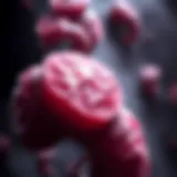 Detailed visual representation of dedifferentiated liposarcoma pathology