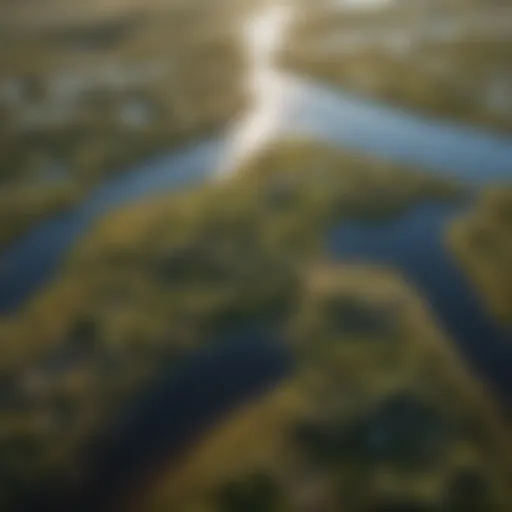 Aerial view showcasing the intricate patterns of coastal plains and wetlands