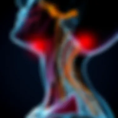 Detailed Anatomy of the Neck Illustration of neck anatomy showing muscles and nerves