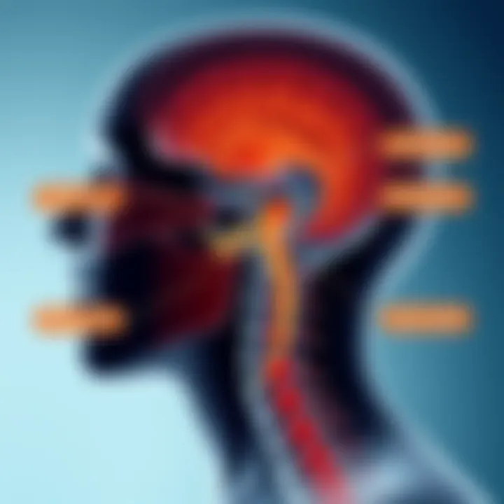 Common Neck Injuries and Tinnitus Visual diagram of common neck injuries related to tinnitus