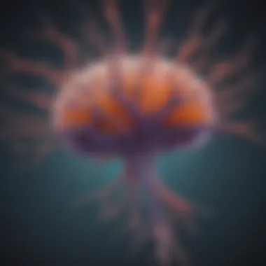 Glial Cells and Brain Homeostasis Diagram showing glial cells maintaining homeostasis in the brain