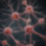 Microscopic view of glial cells interacting with neurons