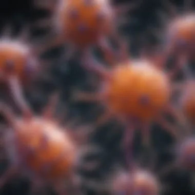 Recent Research on Glial Cells Graphical representation of recent research findings on glial cells