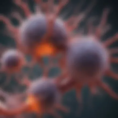 Illustration of different types of glial cells and their functions