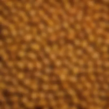 The Unique Texture and Color of Glutinous Corn Vibrant glutinous corn kernels showcasing their unique texture and color