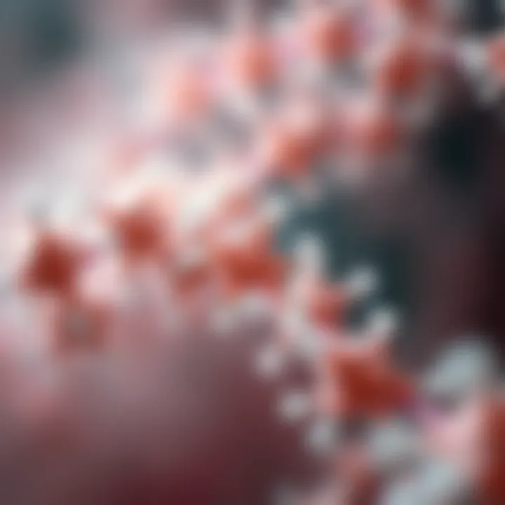 HIF1 alpha role in cellular processes