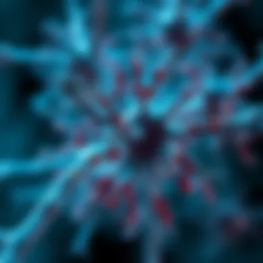 Research findings on HIF1 alpha inhibitors