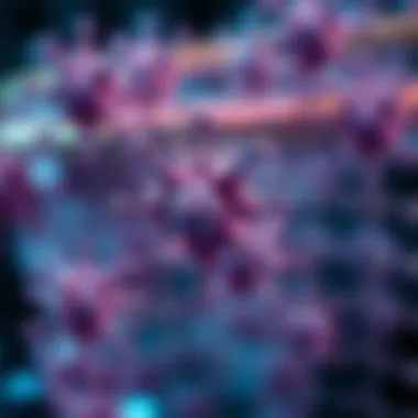 Graphical representation of therapeutic applications