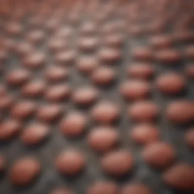 Clinical Findings on Shingles Impact on Renal Function Clinical findings related to shingles and renal function