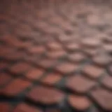 Viral mechanism of shingles affecting kidneys