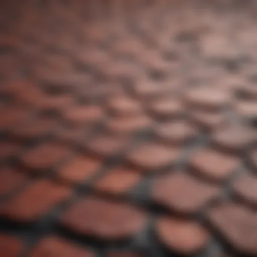 Viral mechanism of shingles affecting kidneys