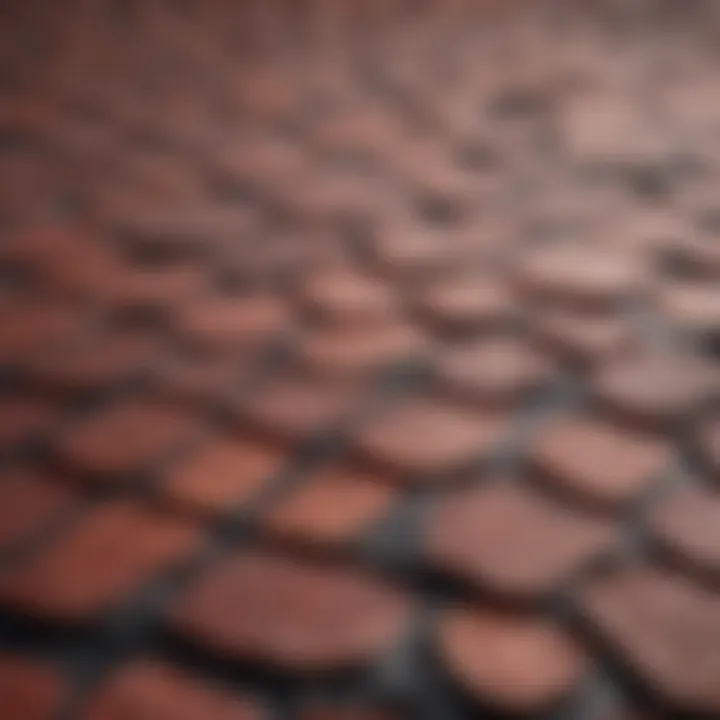 Viral mechanism of shingles affecting kidneys