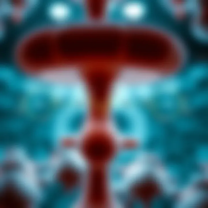 Biochemical Pathways Affected by Magnesium Diagram illustrating the biochemical pathways influenced by magnesium