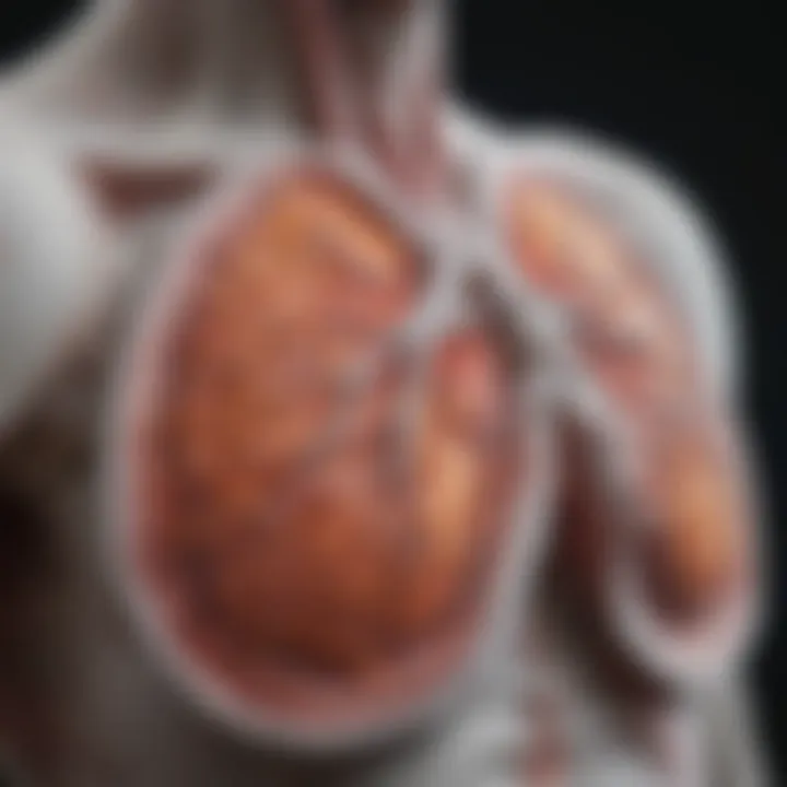 Radiological depiction of pleural plaques highlighting their distinct features