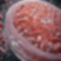 Overview of probiotics and kidney health