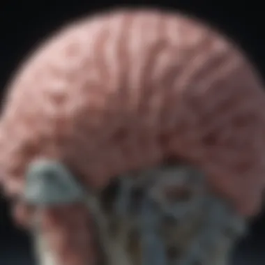 Analysis of Brain Wave Patterns Brain wave patterns analysis