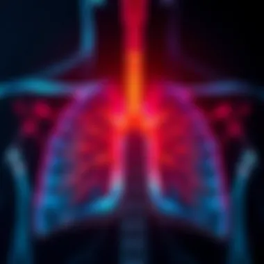 Illustration of the respiratory system affected by COPD