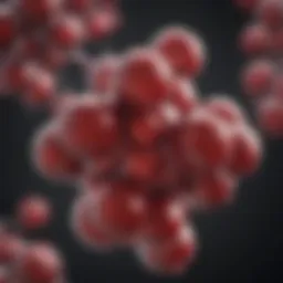 Molecular structure of resveratrol