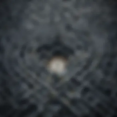 A maze symbolizing complex legal systems