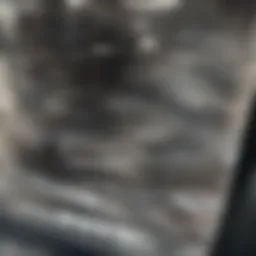 Illustration of Gas Chromatography Setup