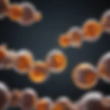 Interaction Between Vitamin D and Melatonin Diagram illustrating the interaction between vitamin D and melatonin
