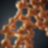 Molecular structure of vitamin D