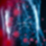 Illustration depicting the biochemical pathways involved in porphyria and anemia.