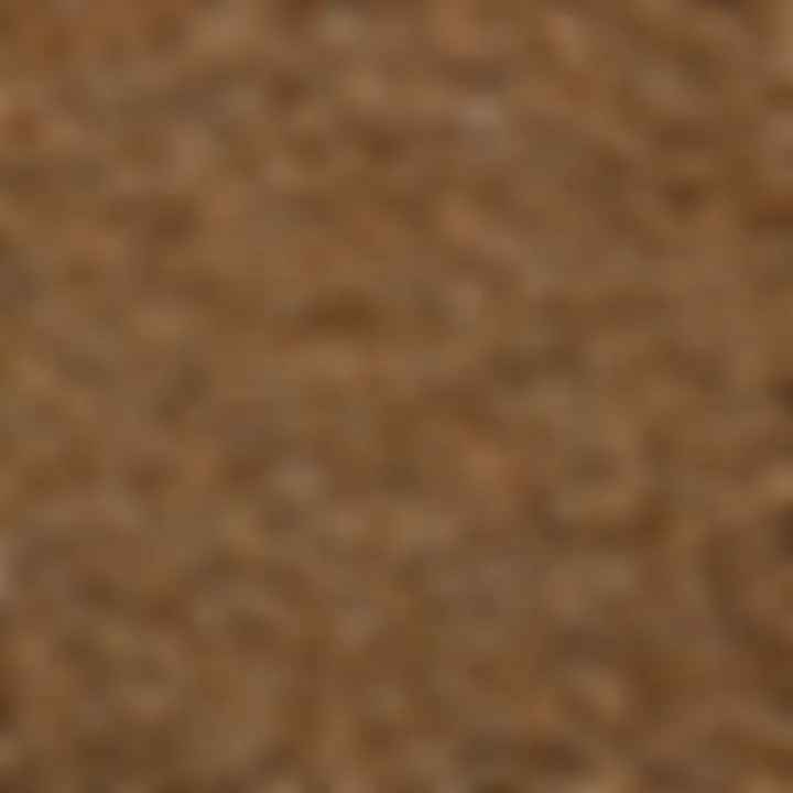A close-up view of the nutritional components of sprouted barley.