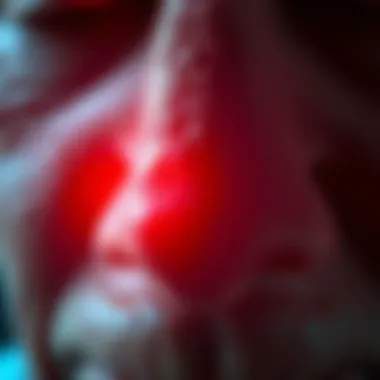 Nasal Cavity Inflammation in Geriatric Rhinitis Illustration of nasal cavity highlighting inflammation