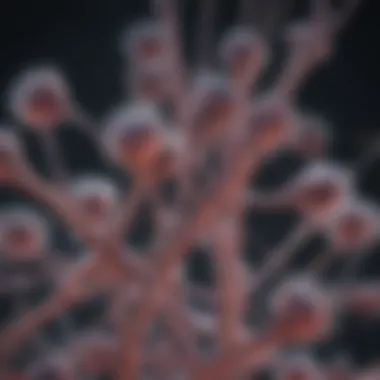 Visualizing Gram-Negative Rods Gram-negative rods under a microscope