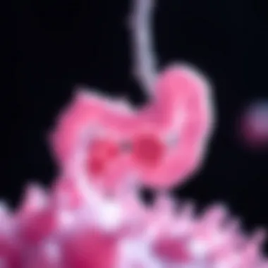 Representation of gut microbiota diversity