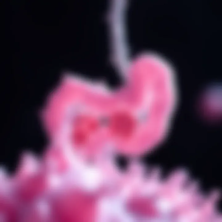 Representation of gut microbiota diversity