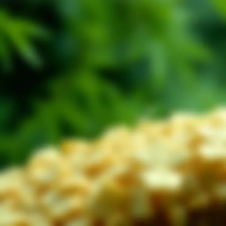 A comparison chart of hemp fibres and other biofibres