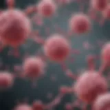 Illustration of Herceptin SC mechanism of action