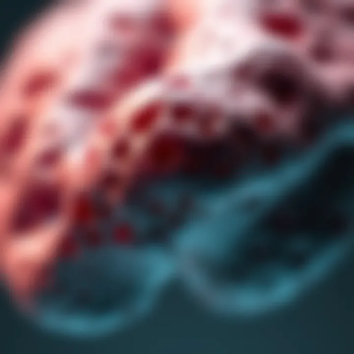 Notable Histiocytic Sarcoma in Humans: A Comprehensive Examination